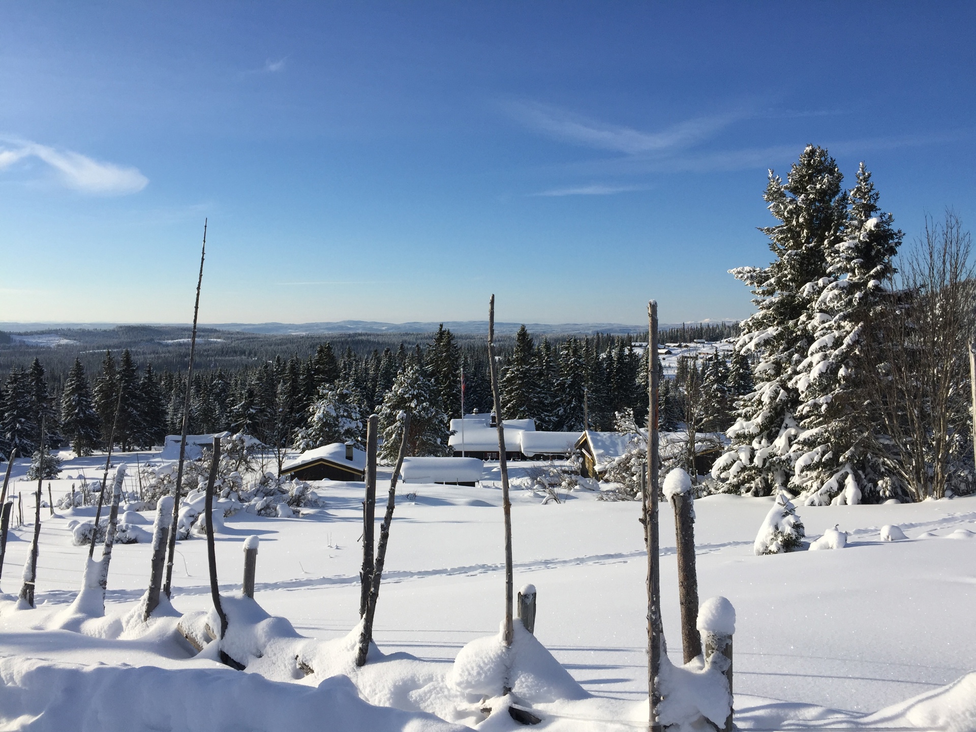 Nordseter Vels innspill til Områdeplanen 