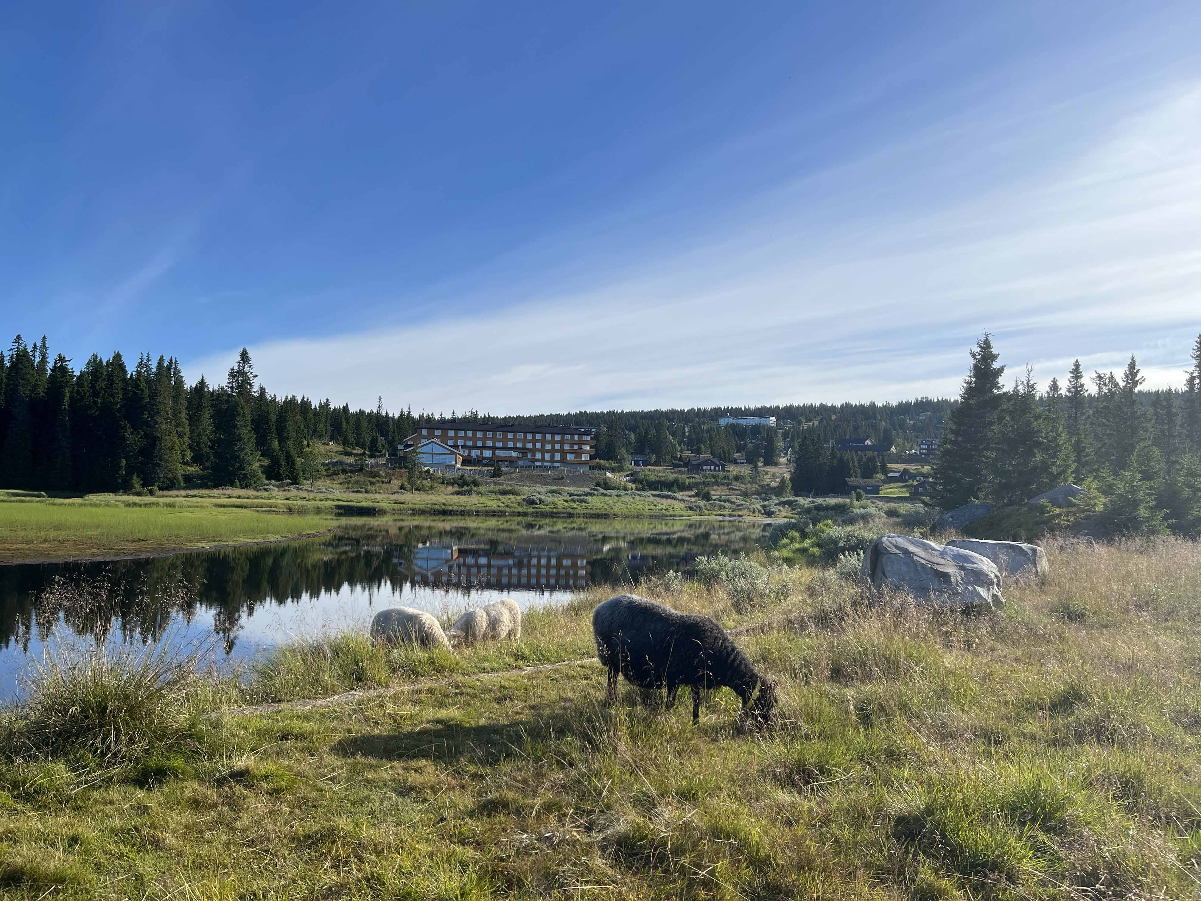 Artikkelbilde til artikkelen Landetjern