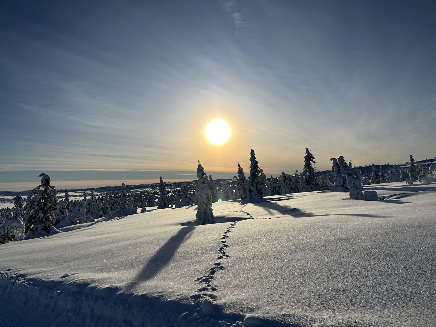 Årsmøte 7.4.2023 - Dette gjorde vi i 2022